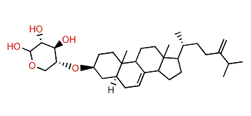 24-Methyl-5a-cholesta-7,24(28)-dien-3b-ol 3-O-b-D-xylopyranoside